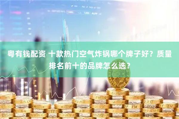 粤有钱配资 十款热门空气炸锅哪个牌子好？质量排名前十的品牌怎么选？